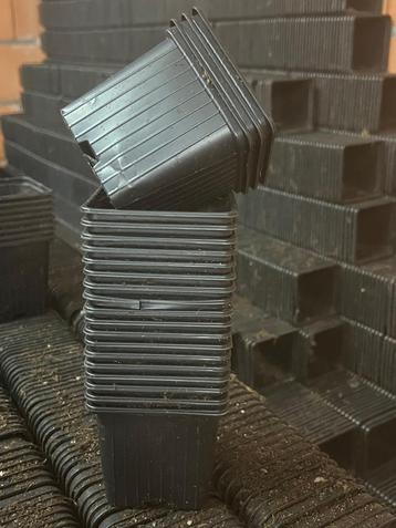 P9 potjes met ondiepere maat 9 x 9 x 8,5 cm, Kunststof, Vierkant, Zo goed als nieuw, Tuin