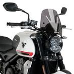 Windshield_ Bubble Windshiel_Puig windscherm voor TRIUMPH Tr, Particulier