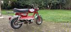 peugeot gt10 d'origine, Vélos & Vélomoteurs, Cyclomoteurs | Oldtimers & Ancêtres, Autres marques, Enlèvement ou Envoi, 49 cm³