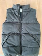 Hound bodywarmer maat medium / 152 - nieuw, Kinderen en Baby's, Ophalen of Verzenden, Nieuw, Jongen, Jas