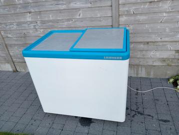Diepvrieskist Liebherr, Elektronische apparatuur, Vriezers en Diepvrieskisten, Ophalen, Gebruikt, Vrijstaand