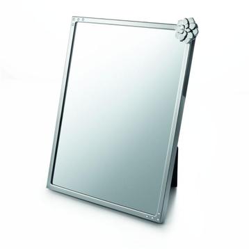 Swarovski spiegel