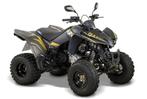 Kymco Maxxer 300, 300 cc, Moto6, 1 cilinder, 12 t/m 35 kW