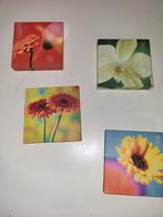 4 kleine kadertjes 15cm met bloemenmotief, Ophalen of Verzenden