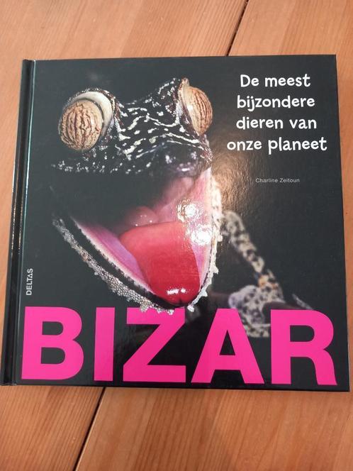 Bizar - Charline Zeitoun NIEUW, Boeken, Kinderboeken | Jeugd | 10 tot 12 jaar, Nieuw, Non-fictie, Ophalen of Verzenden