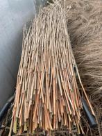 Miscanthus giganteus stokken, Jardin & Terrasse, Plantes | Jardin, Enlèvement
