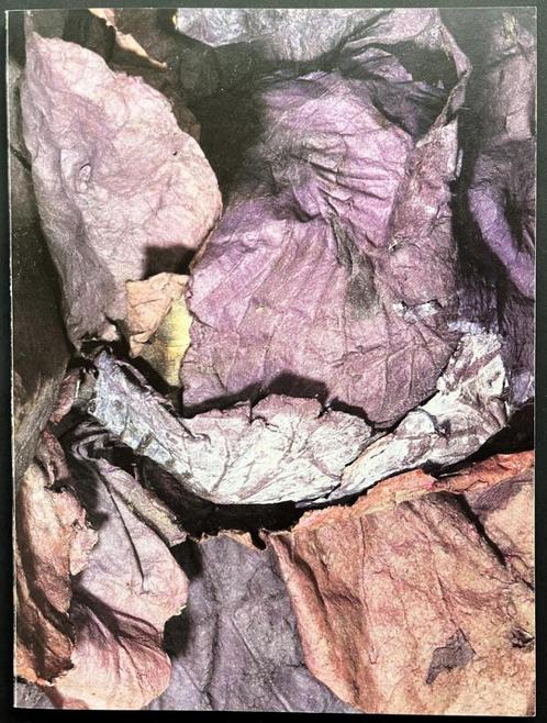 Bernadette Lambrecht,  catalogus tentoonstelling Köln 1983, Boeken, Kunst en Cultuur | Beeldend, Ophalen of Verzenden