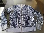 vestje New Collection maat M, Kleding | Dames, Truien en Vesten, Maat 38/40 (M), Ophalen of Verzenden, New collection, Grijs
