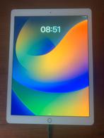 iPad Pro 12.9, Computers en Software, Apple iPads, Ophalen of Verzenden, Apple iPad Pro, Grijs, Gebruikt