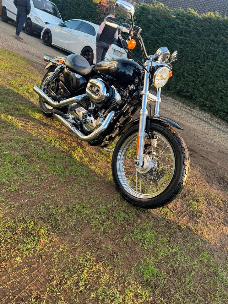 Harley davidson sportster 1200cc 2008, Motoren, Motoren | Harley-Davidson, Particulier, Chopper, meer dan 35 kW, 2 cilinders, Motorrijbewijs A