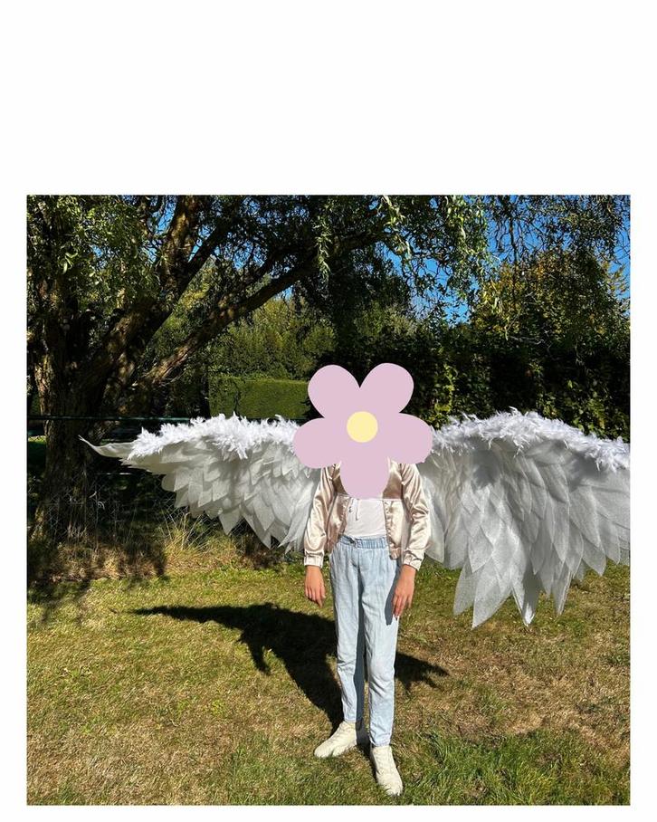 Lichte wendbare engelvleugels (cosplay), Hobby en Vrije tijd, Feestartikelen, Nieuw, Kostuum, Ophalen