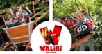 2 - E-tickets voor Walibi ---> 05/01/2025, Tickets en Kaartjes, Twee personen