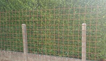 betonnet 5m.x 2 m. vierkant 8 cm --   60 euro beschikbaar voor biedingen