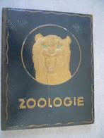 zoologie kwatta, Livres, Comme neuf, Enlèvement ou Envoi