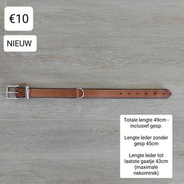 Halsband hond beschikbaar voor biedingen