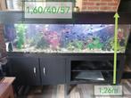 Aquarium met vissen en toebehoren, Dieren en Toebehoren, Ophalen, Gebruikt
