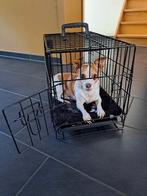 Cage pour chien, Enlèvement, Comme neuf