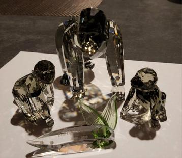 Gorilla's 2009 beschikbaar voor biedingen