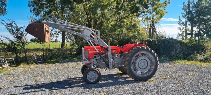 Massey ferguson 65 1962, Zakelijke goederen, Landbouw | Tractoren, Massey Ferguson, tot 80 Pk, Oldtimer, Ophalen