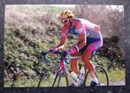 Foto Gianluca Pianegonda - Lampre (Driedaagse De Panne 1999), Verzenden, Nieuw, Poster, Plaatje of Sticker