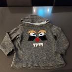 Hoodie merk: Filou&Friends Maat 116, Ophalen of Verzenden, Gebruikt