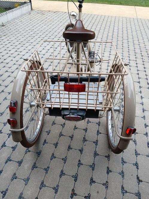 Elektrische driewieler Oxford Papillon, Fietsen en Brommers, Fietsen | Driewielfietsen, Gebruikt, Ophalen