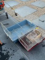 Cavia en hamsterkooi te koop, Dieren en Toebehoren, Knaagdieren en Konijnen | Hokken en Kooien, Ophalen, Zo goed als nieuw, Cavia
