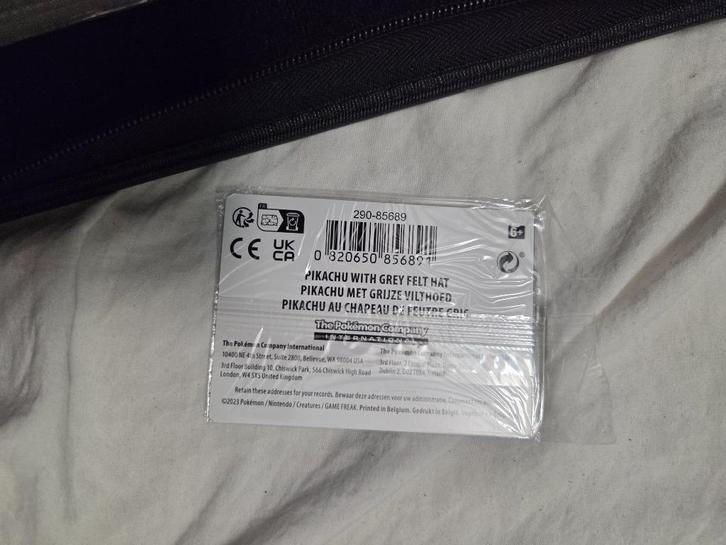 Pokemon  mooiste kaart van de schilder vincer, Hobby en Vrije tijd, Verzamelkaartspellen | Pokémon, Nieuw, Losse kaart, Ophalen of Verzenden