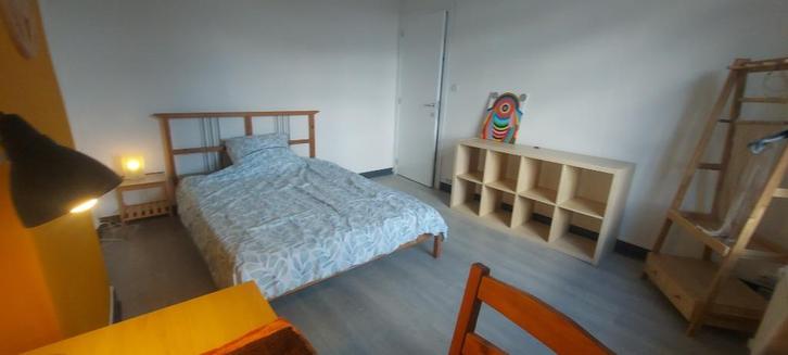 Gedeelde kamer in Charleroi, Immo, Op zoek naar een appartement