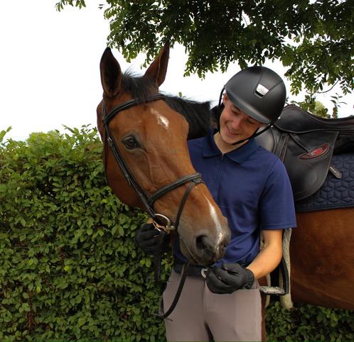 8 jarige merrie te koop, Dieren en Toebehoren, Paarden, Merrie, Niet van toepassing, 170 tot 175 cm, Springpaard, Met stamboom