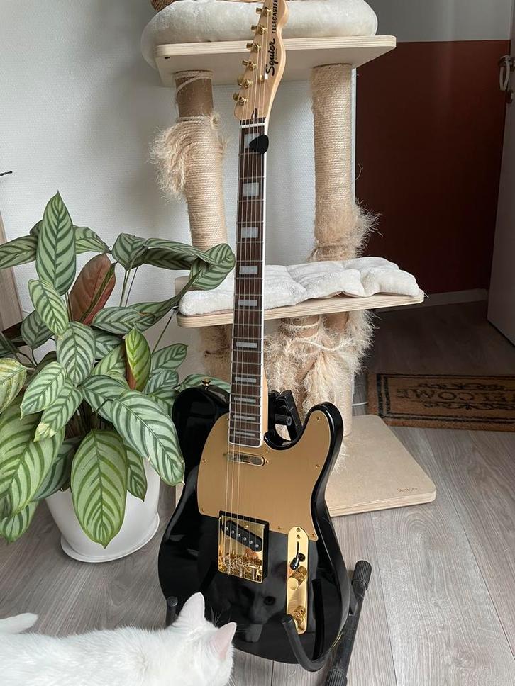 squier telecaster 40th anniversary gold edition, Muziek en Instrumenten, Snaarinstrumenten | Gitaren | Elektrisch, Zo goed als nieuw