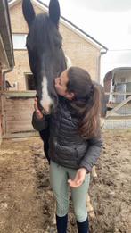 SUPERLIEVE MERRIE TE KOOP!!, Dieren en Toebehoren, Niet van toepassing, 3 tot 6 jaar, 160 tot 165 cm, Merrie