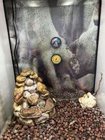 Terrarium exo terra 50/50/75, Ophalen, Gebruikt, Terrarium of Paludarium