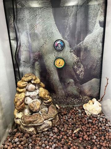 Terrarium exo terra 50/50/75 beschikbaar voor biedingen