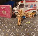 Destin Barbie, Enfants & Bébés, Jouets | Poupées, Utilisé, Enlèvement ou Envoi, Barbie
