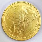1oz gouden Zuid-Afrikaanse Big Five Elephant munten ., Timbres & Monnaies, Envoi, Monnaie en vrac, Afrique du Sud