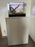 Aquascape setup van Strideway, Dieren en Toebehoren, Vissen | Aquaria en Toebehoren, Ophalen, Zo goed als nieuw, Leeg aquarium