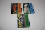 Artis-historia dieren boeken hond kat paard nieuw, Livres, Animaux & Animaux domestiques, Enlèvement ou Envoi, Neuf, Chevaux ou Poneys