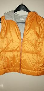 Bodywarmer met kap. Merk Kaliko, maat 38, Kleding | Dames, Maat 38/40 (M), Overige kleuren, Nieuw, Ophalen of Verzenden