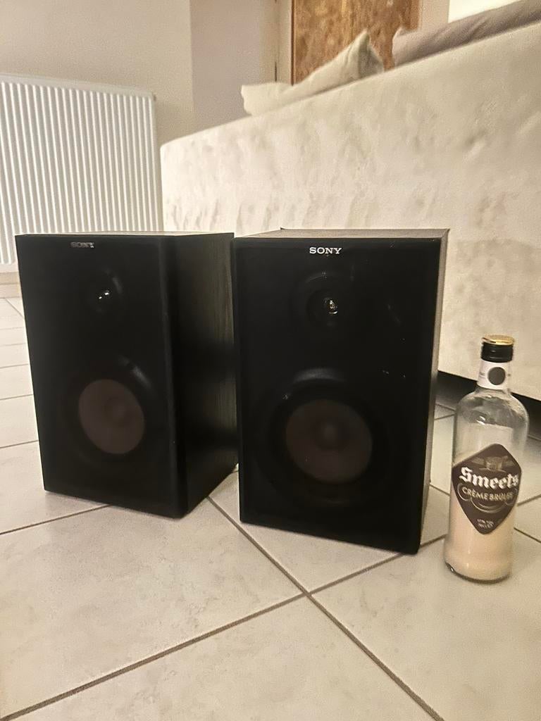 Sony SRS-170 Active Speaker System paire d'enceintes vintage