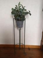 Vasque (support avec vasque amovible), Enlèvement, Neuf