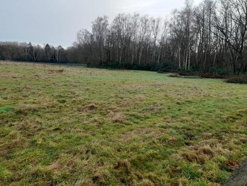 weidegrond, Zakelijke goederen, Landbouw | Onroerend goed, Paardenhouderij, 1 tot 5 ha, Ophalen