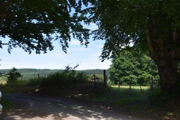 Terrain à vendre à Gouvy, Jusqu'à 200 m²