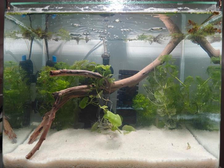 Aquarium 30L, Dieren en Toebehoren, Vissen | Aquaria en Toebehoren, Ophalen