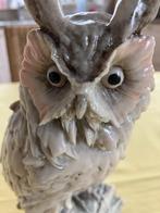 Antieken uil Armani, Ophalen