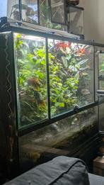 Paludarium