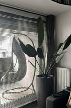 Hangstoel sumatra xxl, Ophalen, Zo goed als nieuw