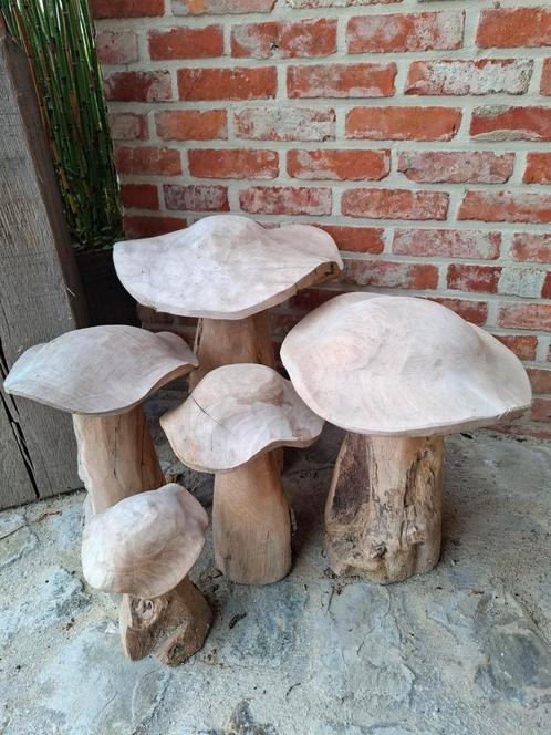 Teak houten paddestoelen als huis- terras & tuindecoratie, Tuin en Terras, Tuinwanddecoratie, Zo goed als nieuw, Ophalen of Verzenden