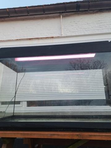 Compleet aquarium beschikbaar voor biedingen