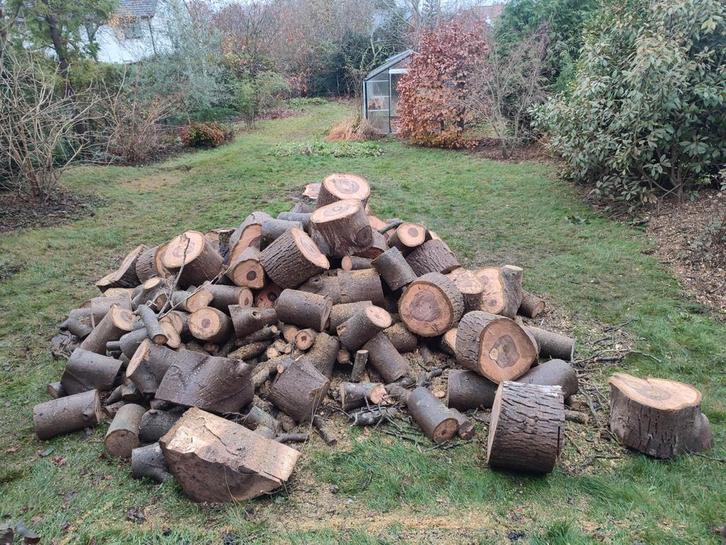 Bois de chauffage à donner - noyer - environ 3 stères, Tuin en Terras, Brandhout, Blokken, Ophalen